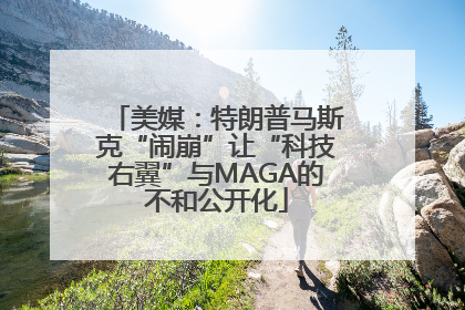 美媒：特朗普马斯克“闹崩”让“科技右翼”与MAGA的不和公开化