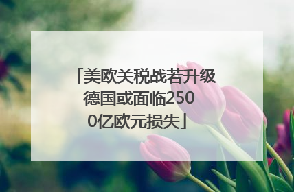 美欧关税战若升级 德国或面临2500亿欧元损失