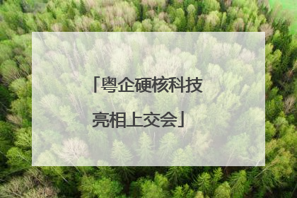粤企硬核科技亮相上交会