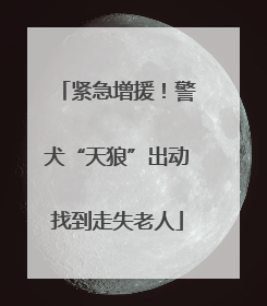 紧急增援！警犬“天狼”出动找到走失老人