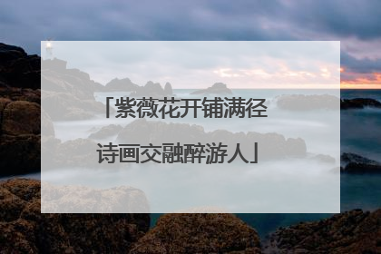 紫薇花开铺满径 诗画交融醉游人