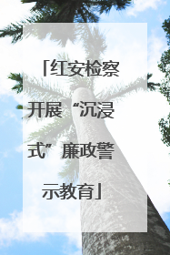 红安检察开展“沉浸式”廉政警示教育