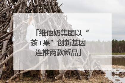 维他奶集团以“茶+果”创新基因连推两款新品