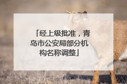 经上级批准，青岛市公安局部分机构名称调整
