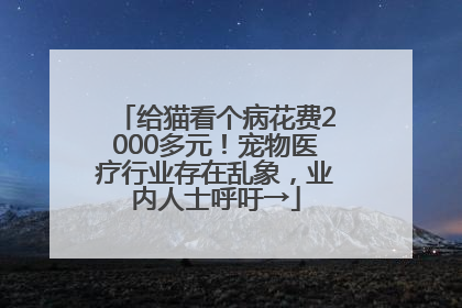给猫看个病花费2000多元！宠物医疗行业存在乱象，业内人士呼吁→