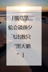 俄乌第二轮会谈前夕 飞出数只 “黑天鹅”