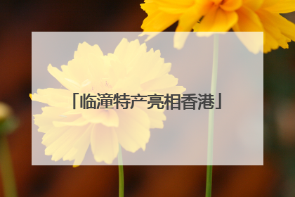 临潼特产亮相香港