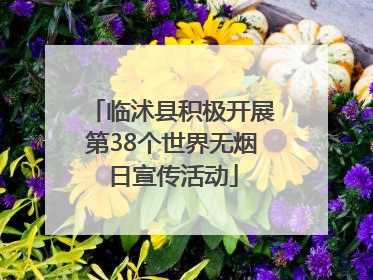 临沭县积极开展第38个世界无烟日宣传活动