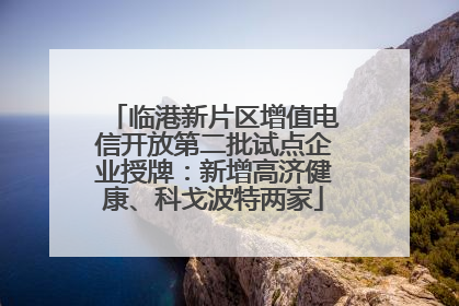 临港新片区增值电信开放第二批试点企业授牌：新增高济健康、科戈波特两家