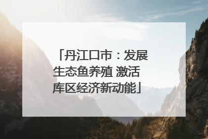 丹江口市：发展生态鱼养殖 激活库区经济新动能