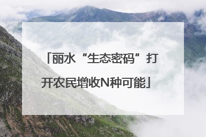 丽水“生态密码”打开农民增收N种可能