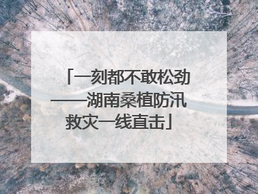 一刻都不敢松劲——湖南桑植防汛救灾一线直击
