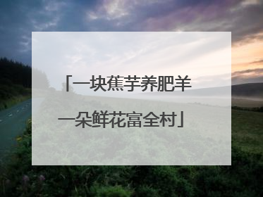 一块蕉芋养肥羊 一朵鲜花富全村