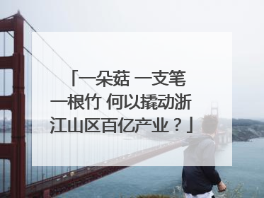 一朵菇 一支笔 一根竹 何以撬动浙江山区百亿产业？