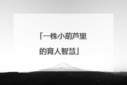 一株小葫芦里的育人智慧