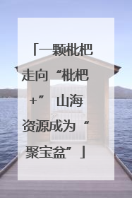 一颗枇杷走向“枇杷+” 山海资源成为“聚宝盆”