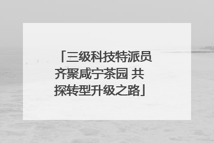 三级科技特派员齐聚咸宁茶园 共探转型升级之路