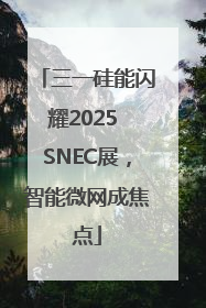三一硅能闪耀2025 SNEC展，智能微网成焦点