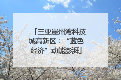 三亚崖州湾科技城高新区：“蓝色经济”动能澎湃