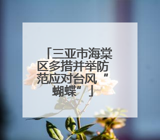 三亚市海棠区多措并举防范应对台风“蝴蝶”