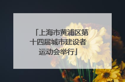 上海市黄浦区第十四届城市建设者运动会举行