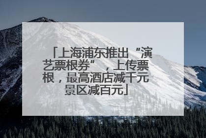 上海浦东推出“演艺票根券”，上传票根，最高酒店减千元景区减百元