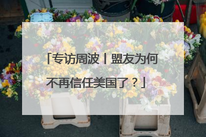 专访周波丨盟友为何不再信任美国了？