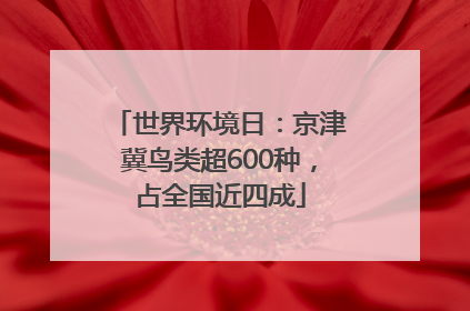 世界环境日：京津冀鸟类超600种，占全国近四成