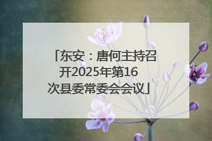 东安：唐何主持召开2025年第16次县委常委会会议