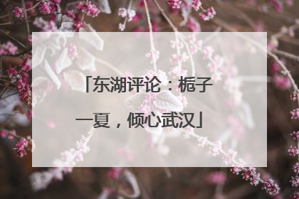 东湖评论：栀子一夏，倾心武汉