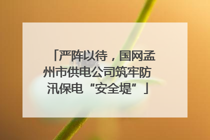 严阵以待，国网孟州市供电公司筑牢防汛保电“安全堤”