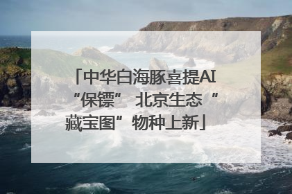 中华白海豚喜提AI“保镖” 北京生态“藏宝图”物种上新