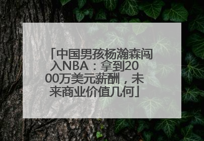 中国男孩杨瀚森闯入NBA：拿到2000万美元薪酬，未来商业价值几何