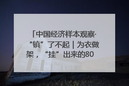 中国经济样本观察·“镇”了不起｜为衣做架，“挂”出来的80亿元“衣架产业”