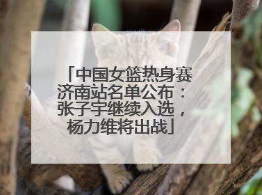 中国女篮热身赛济南站名单公布：张子宇继续入选，杨力维将出战