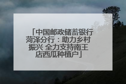 中国邮政储蓄银行菏泽分行：助力乡村振兴 全力支持南王店西瓜种植户