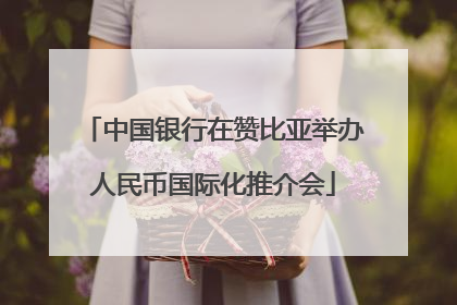 中国银行在赞比亚举办人民币国际化推介会