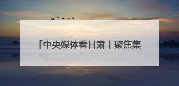 中央媒体看甘肃丨聚焦集群建设 加快转型升级 甘肃支柱产业增势强劲