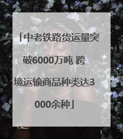中老铁路货运量突破6000万吨 跨境运输商品种类达3000余种