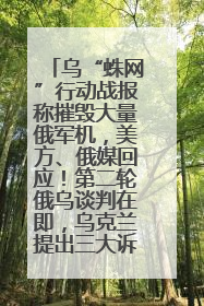 乌“蛛网”行动战报称摧毁大量俄军机，美方、俄媒回应！第二轮俄乌谈判在即，乌克兰提出三大诉求