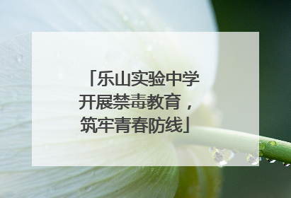 乐山实验中学开展禁毒教育，筑牢青春防线