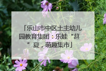 乐山市中区土主幼儿园教育集团：乐娃“葚”夏，萌趣集市