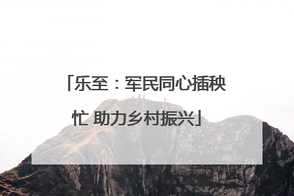 乐至：军民同心插秧忙 助力乡村振兴