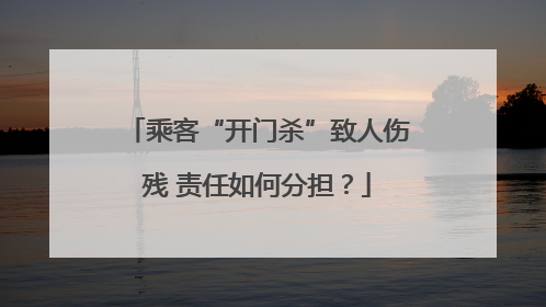 乘客“开门杀”致人伤残 责任如何分担？