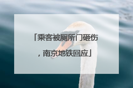 乘客被厕所门砸伤，南京地铁回应