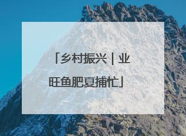 乡村振兴｜业旺鱼肥夏捕忙