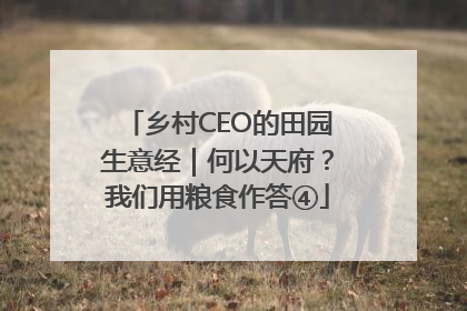 乡村CEO的田园生意经｜何以天府？我们用粮食作答④