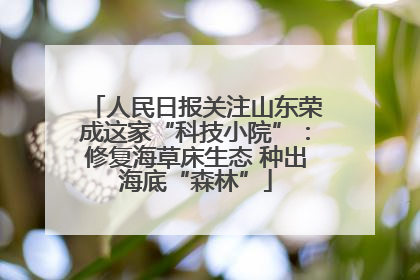 人民日报关注山东荣成这家“科技小院”：修复海草床生态 种出海底“森林”