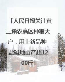 人民日报关注黄三角农高区种粮大户：用上新品种 盐碱地亩产超1200斤