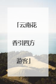 云南花香引四方游客
